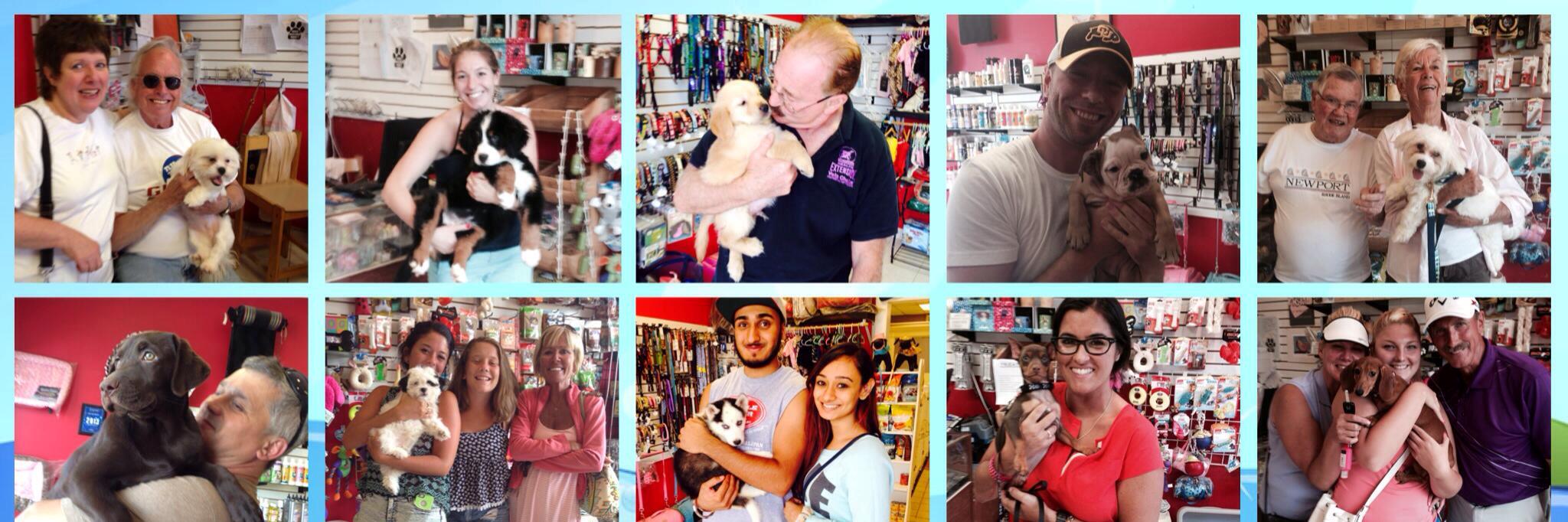 PetShoppe banner