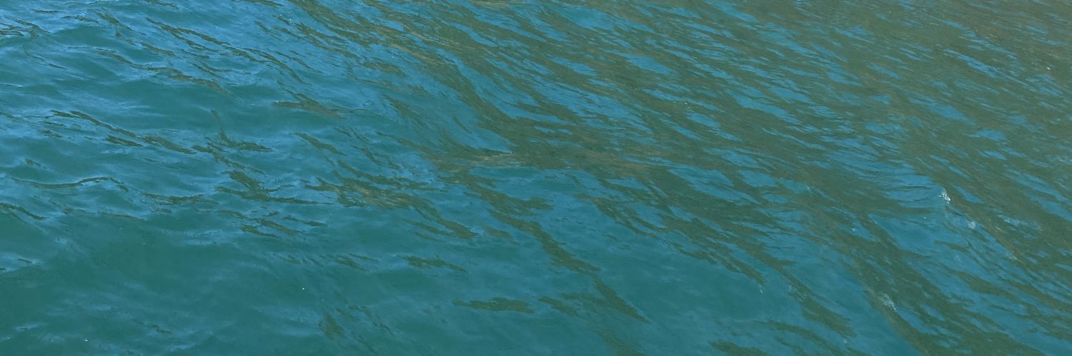 dynaskyy's profile banner image