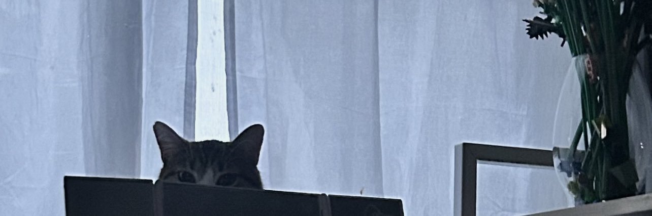 mishxylaa's profile banner image