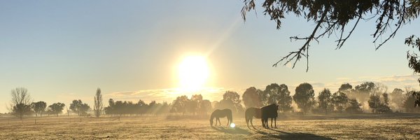 buckleefarm Profile Banner