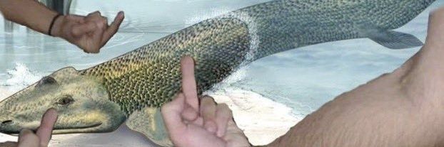 champagnpipe's profile banner image