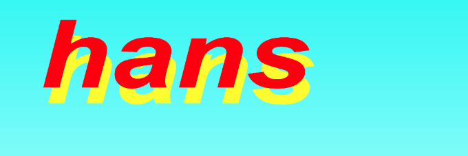 TweedeHansZooi's profile banner image