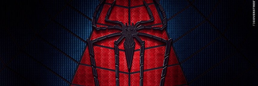 StrengthOfWebs's profile banner image