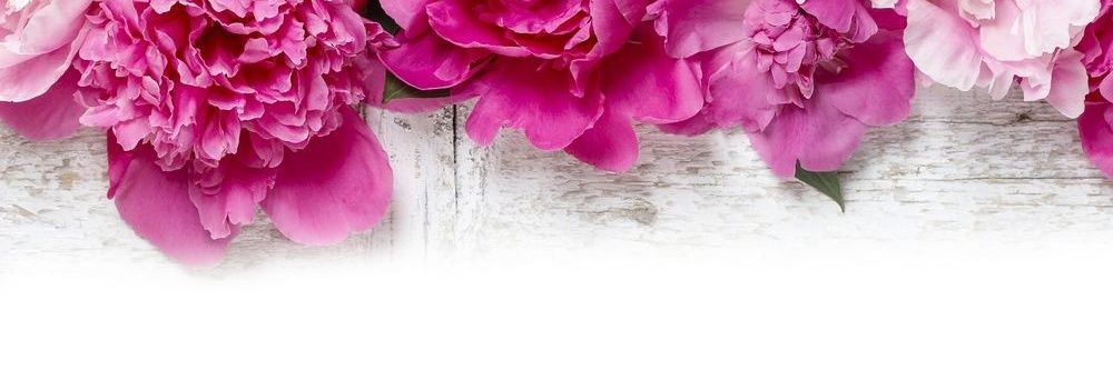 CovEcoPartyBox's profile banner image