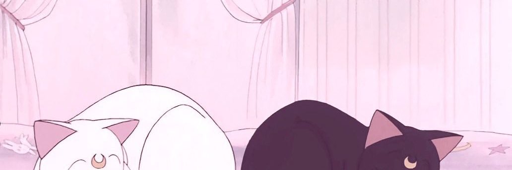4bacH8's profile banner image
