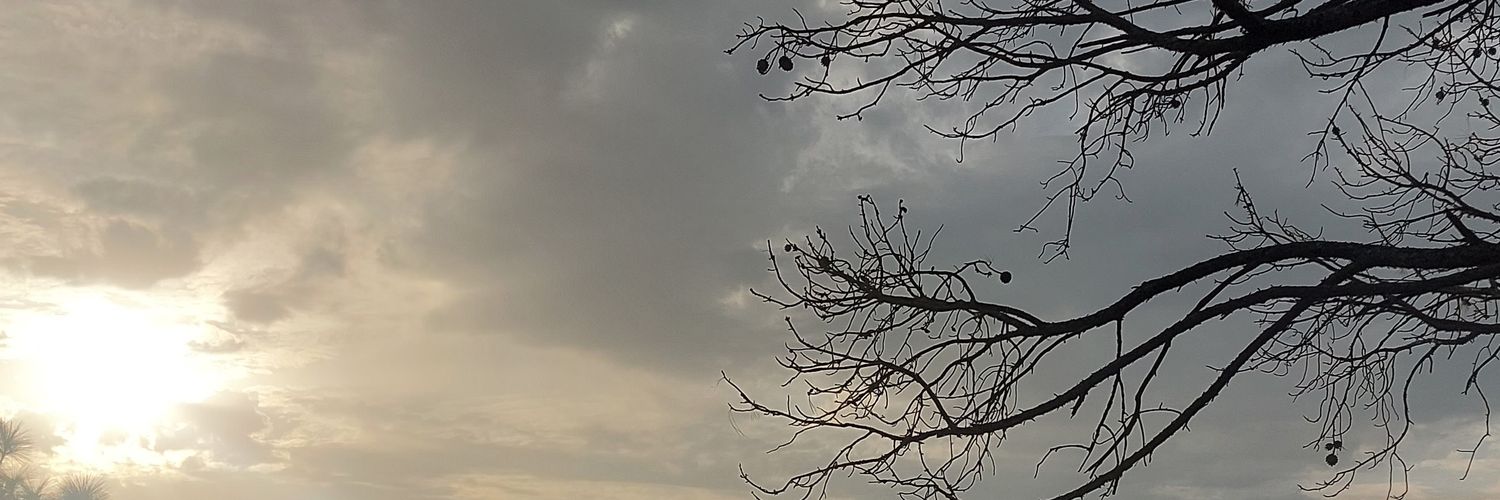 Aroobaaaaaa's profile banner image