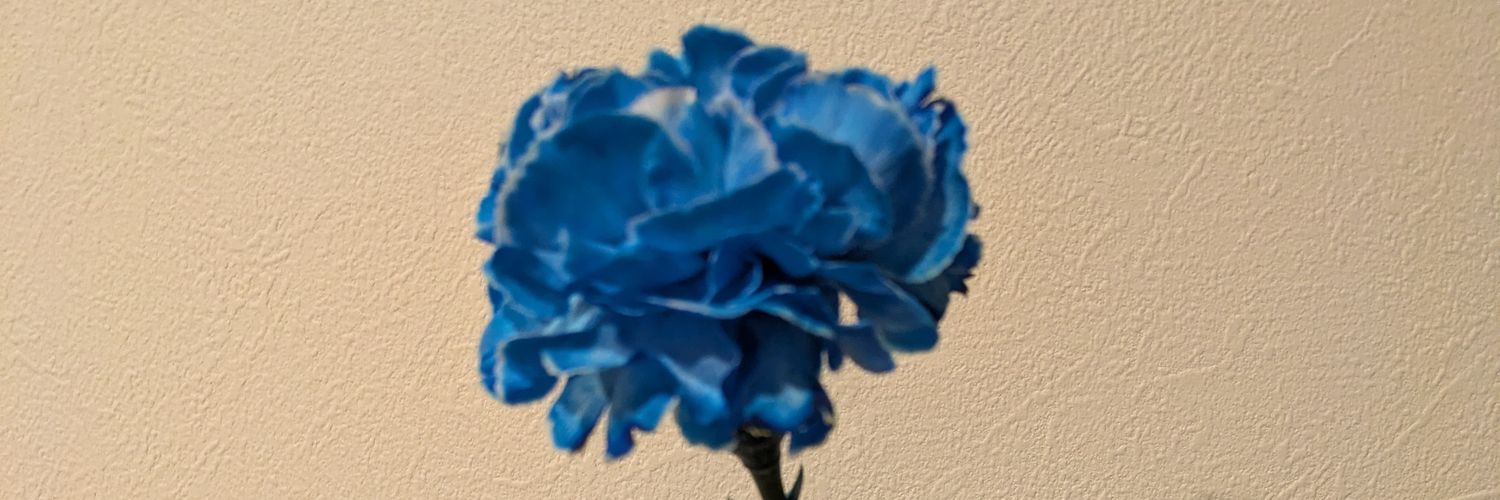 Nennen111's profile banner image