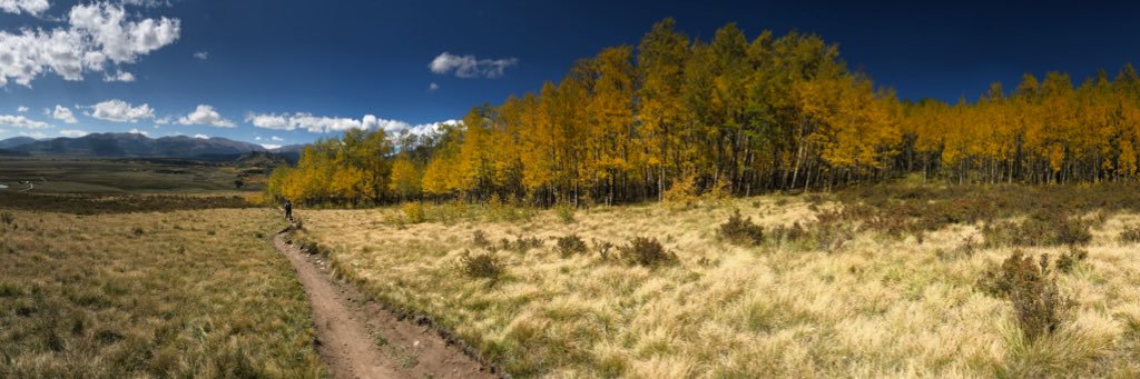 kathrynfrazier's profile banner image