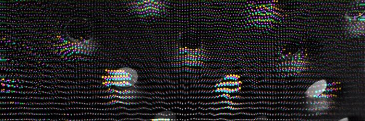 CurtLane's profile banner image