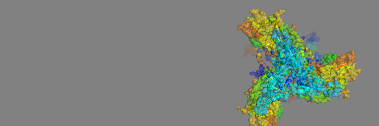 Daniel Sheward banner