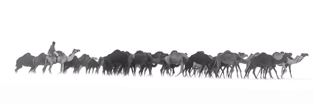 1__1h1's profile banner image