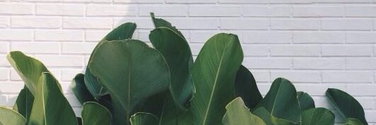 hugmeluca_'s profile banner image