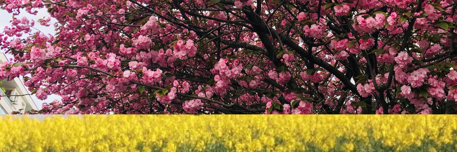MarieHoudin's profile banner image