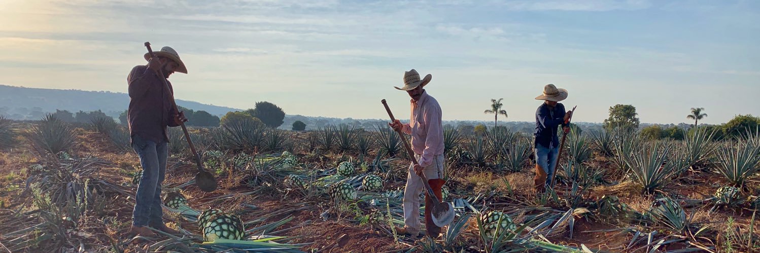 Tequila Tapatío banner
