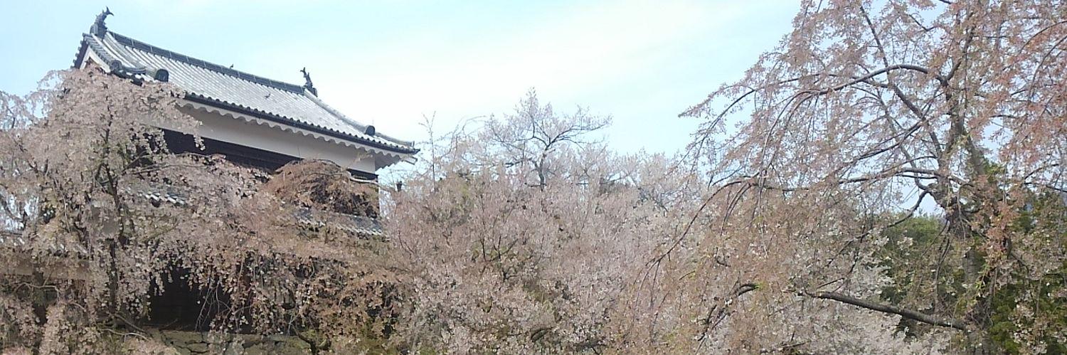 ソラシ堂@交換 banner
