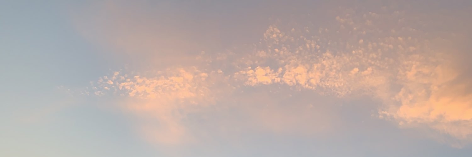 ren19990516's profile banner image