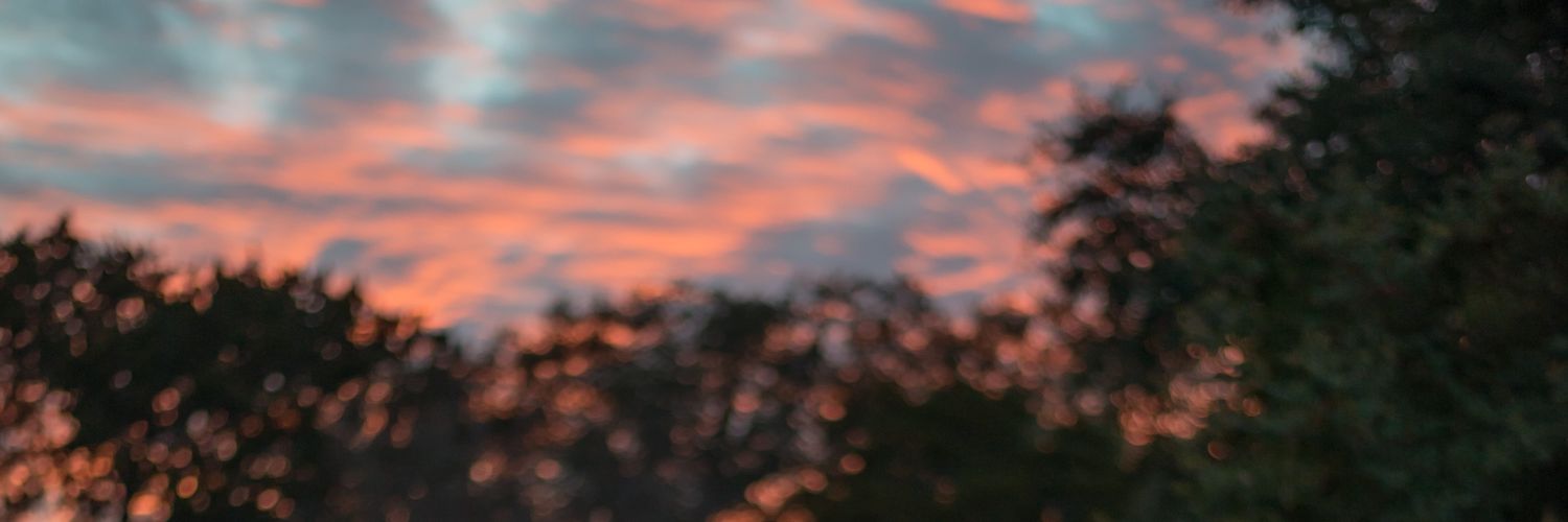 The_punkx's profile banner image