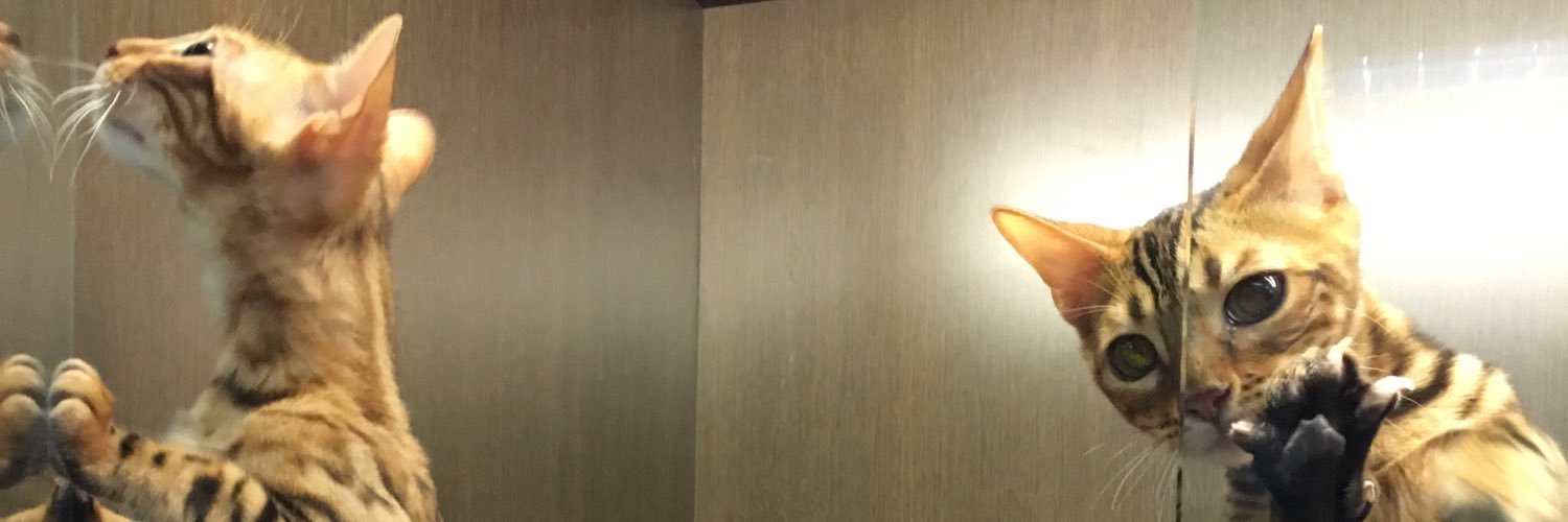 nandonaima's profile banner image