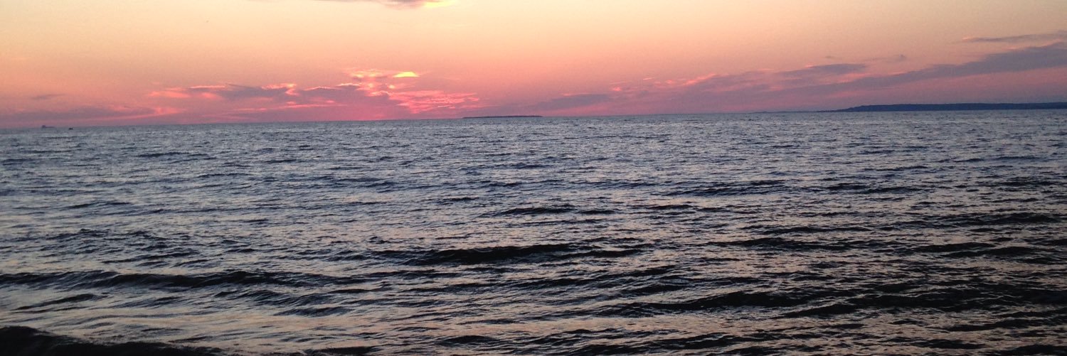 blurrylee_'s profile banner image