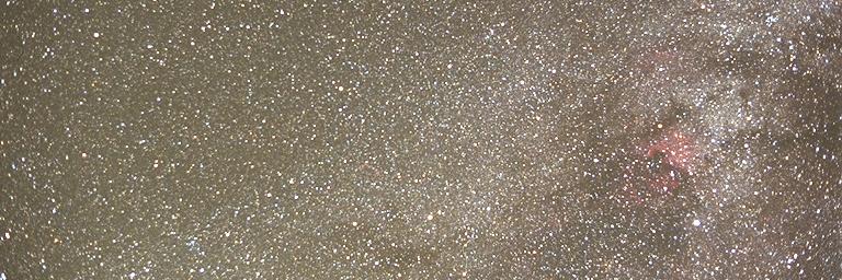 Stefan Beckmann banner