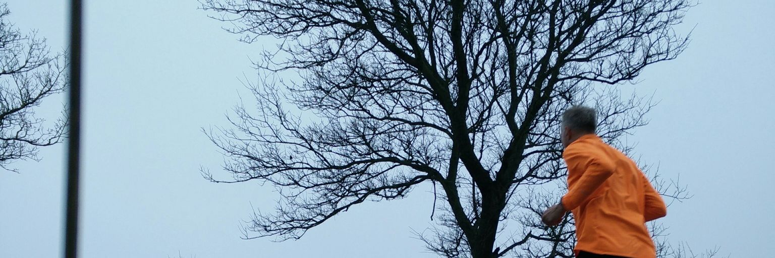 TomRoeling's profile banner image