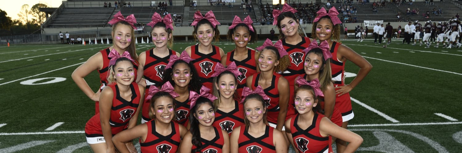 GCM Patriot Cheer banner
