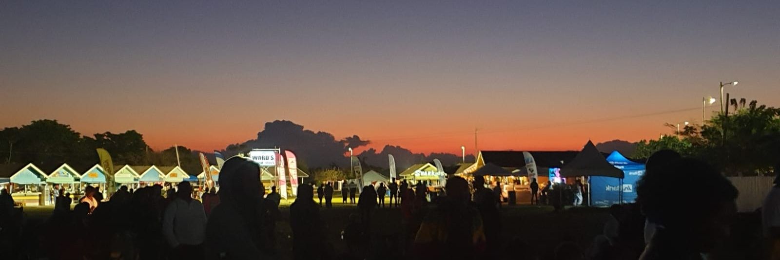 Gaynor Walker banner