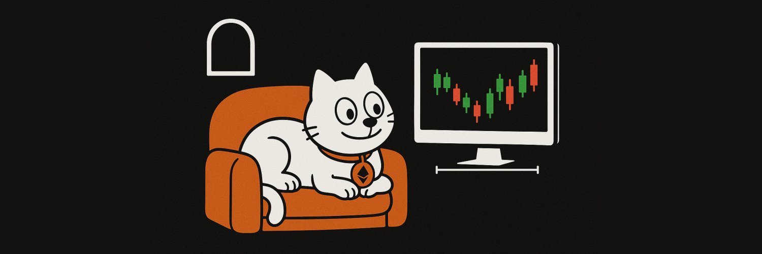 Cat banner