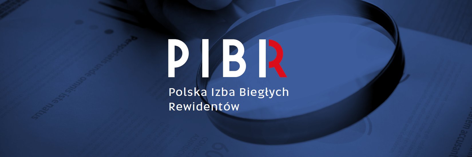 pibr_PL's profile banner image