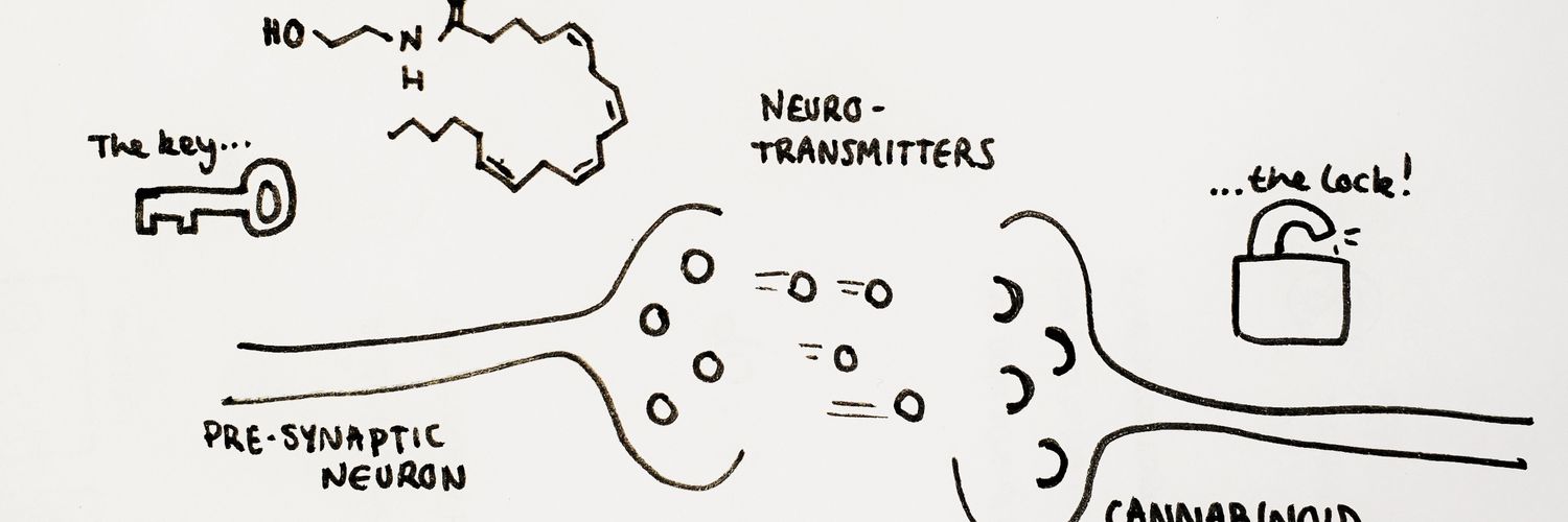 braingainsco's profile banner image