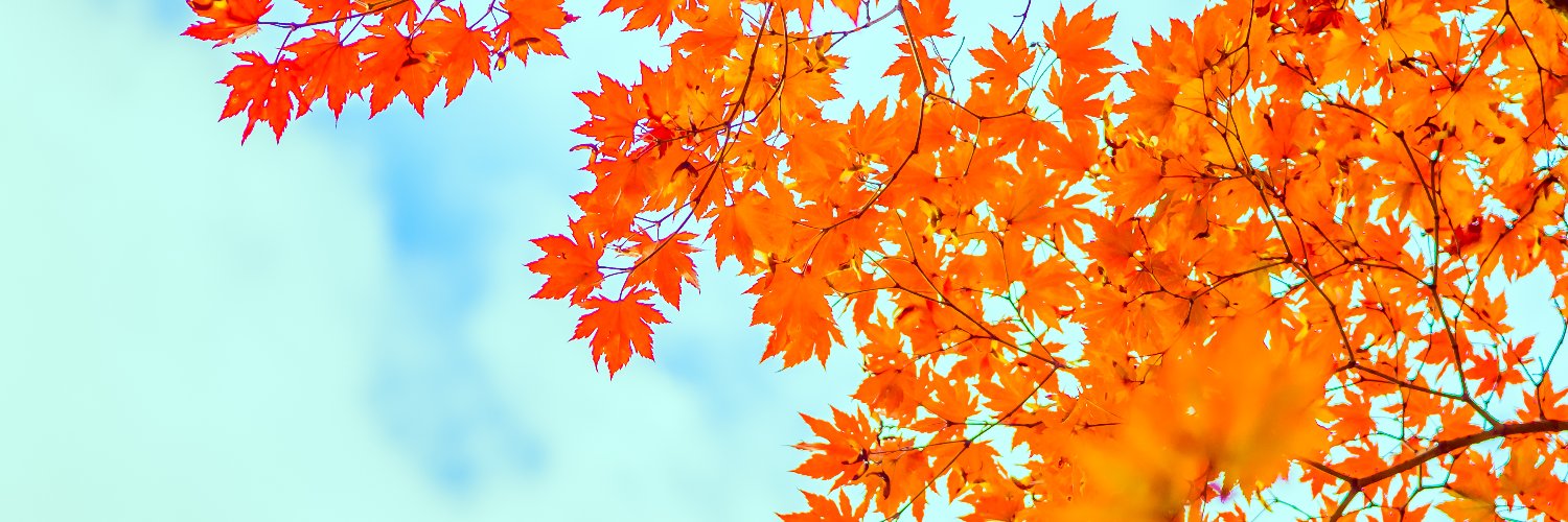 SuHtet1998's profile banner image