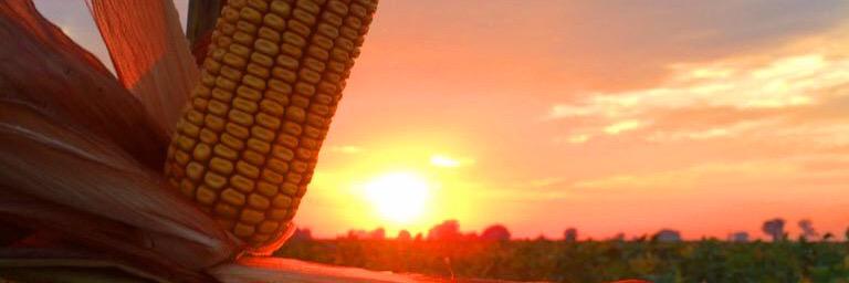 KellarO's profile banner image