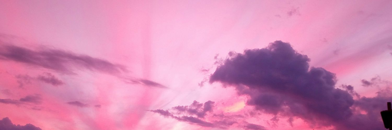SLevidiotis's profile banner image