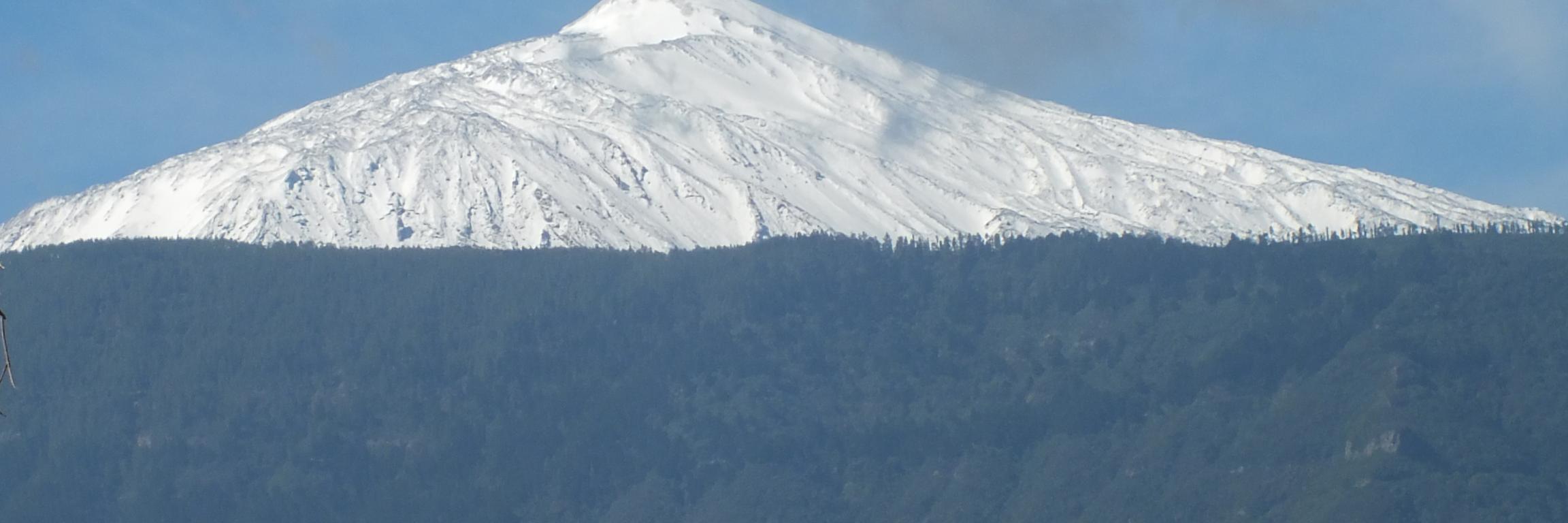 MrGamcontrol20 Babo banner