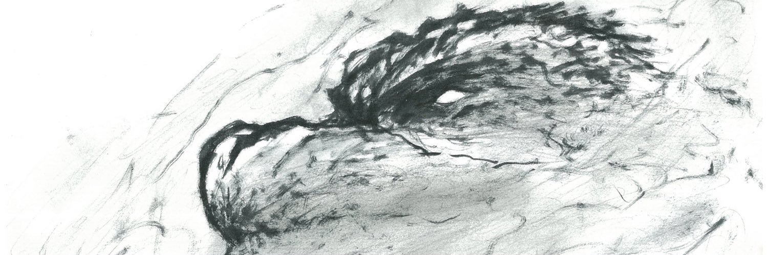 rx1yendama's profile banner image