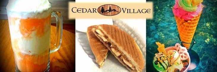 cedarvillagejam's profile banner image