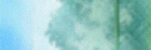 bruninhapox's profile banner image