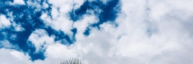Yakovleva_n's profile banner image