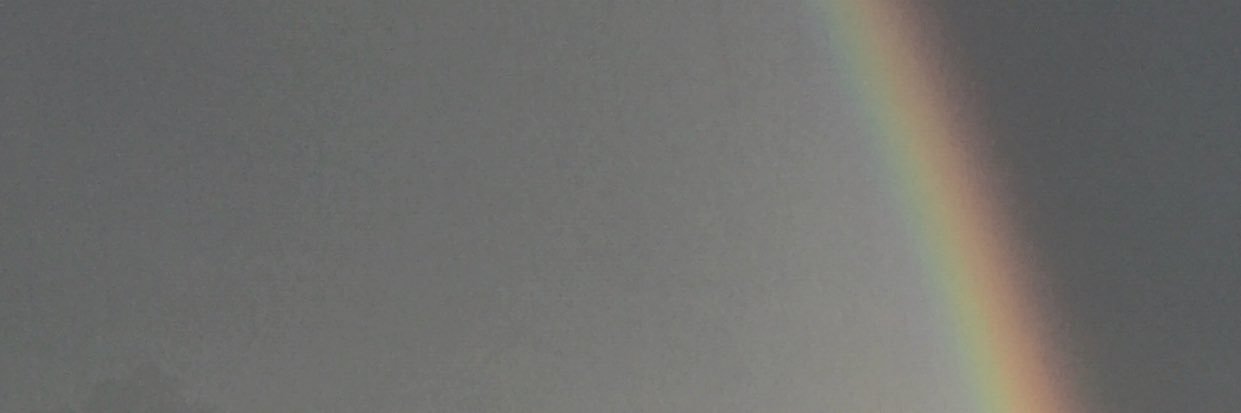 Marina Moschen banner