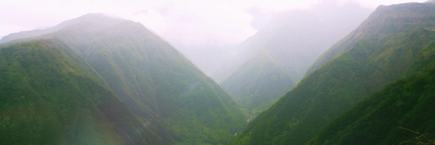 janikrobichaud's profile banner image