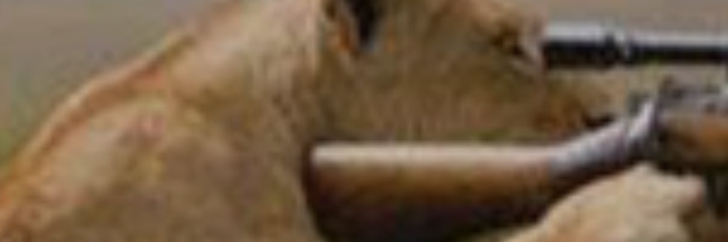 w_ocko66's profile banner image