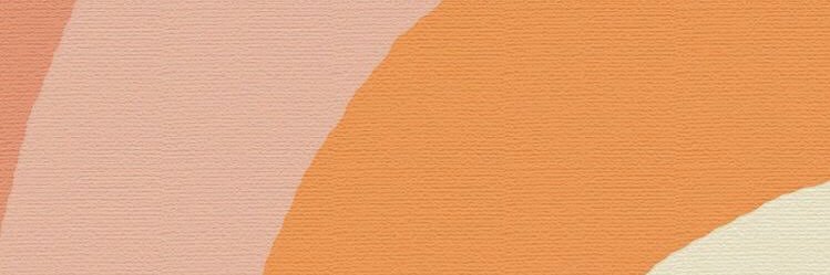 vsantanap's profile banner image