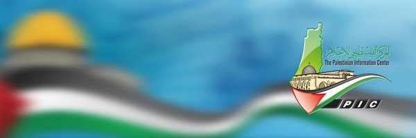palinfoen Profile Banner