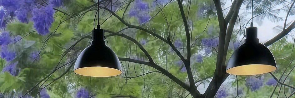 期待8月🍒（互fo） banner