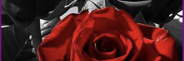 Betoutrera's profile banner image