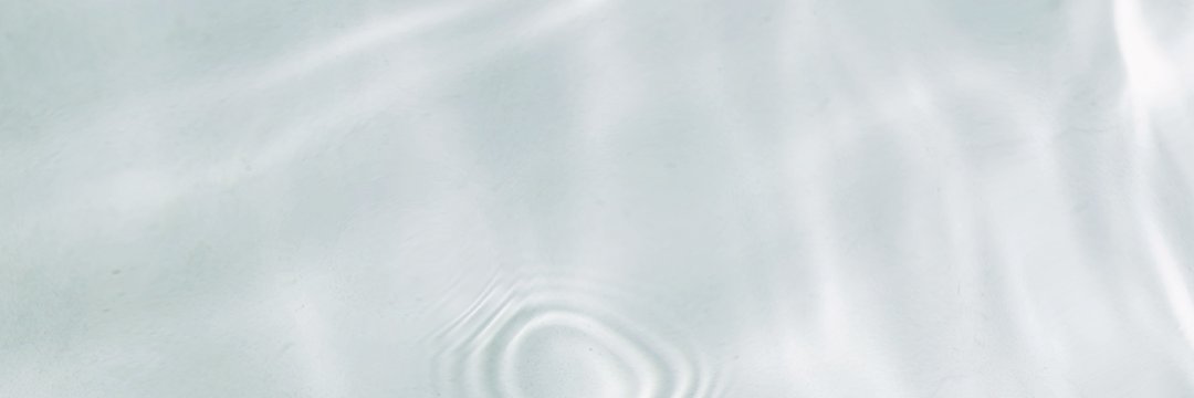 Melon Blanc banner