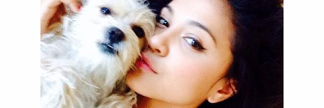 lina. banner