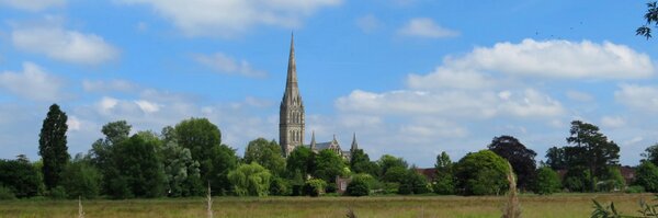 SalisInfo Profile Banner