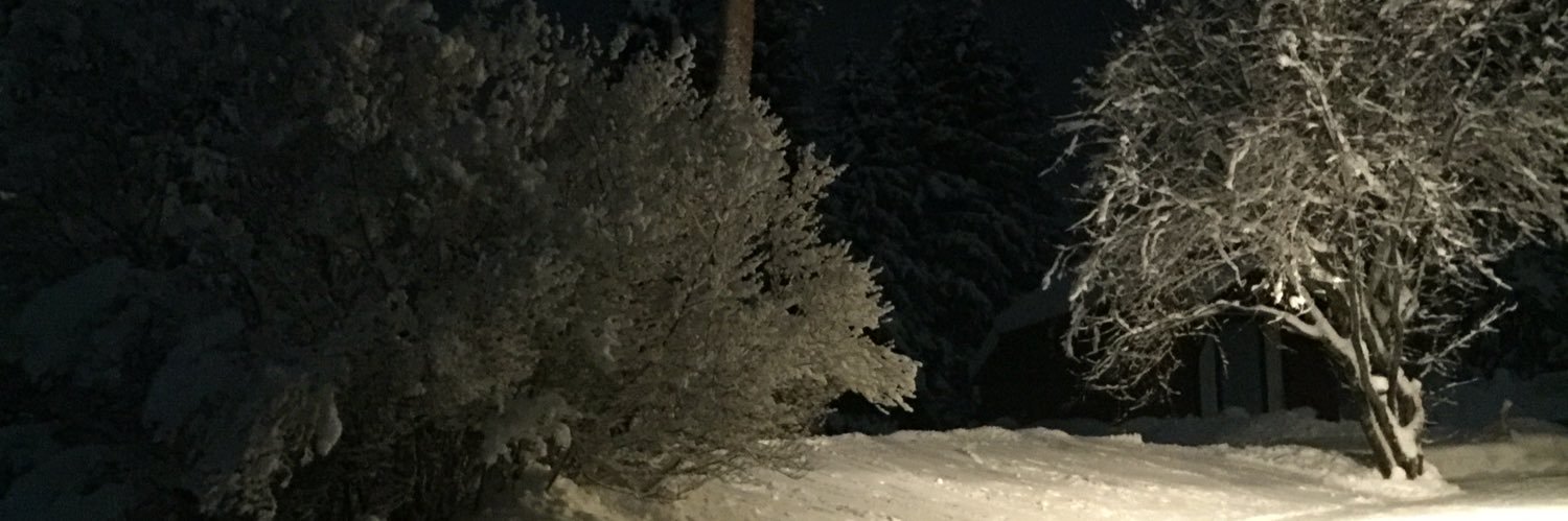 Lastbilsroev2's profile banner image