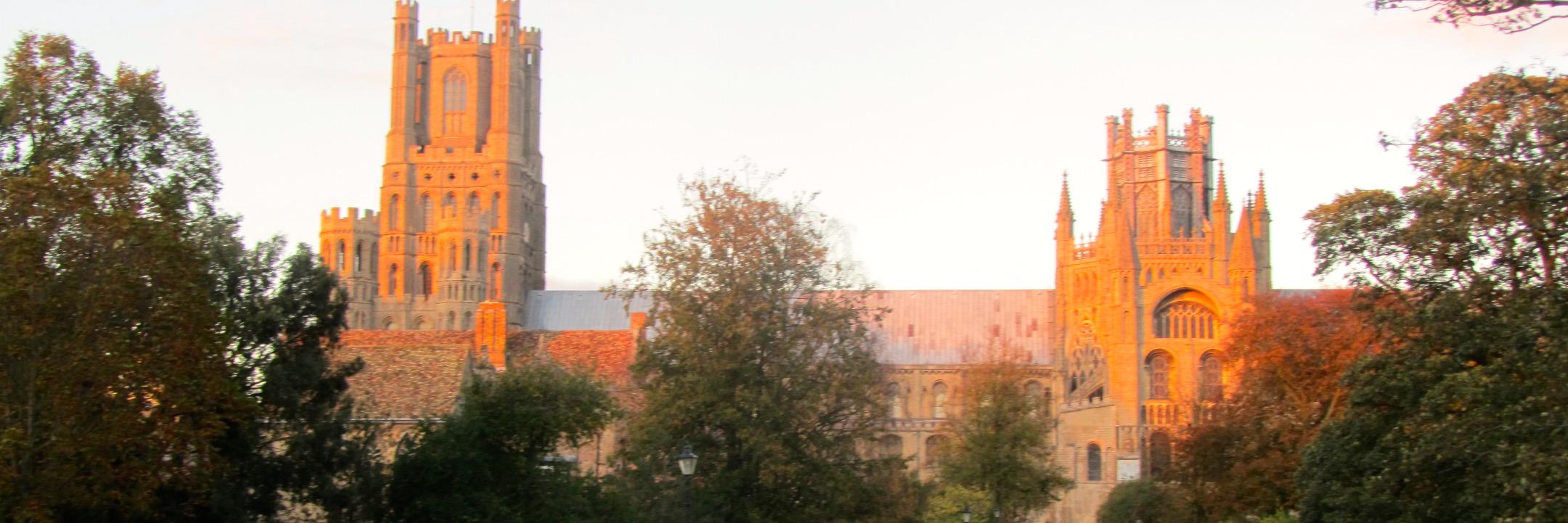 Meredith Jewson, OCT banner